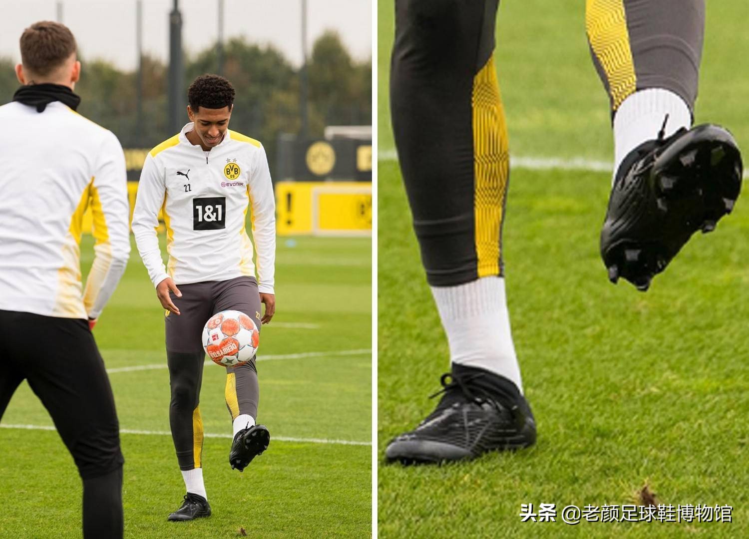 会陷入如今 会陷入如今